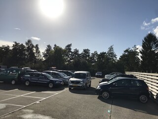 Autoplaza Tolbert