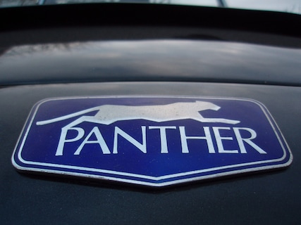 Panther-Kallista