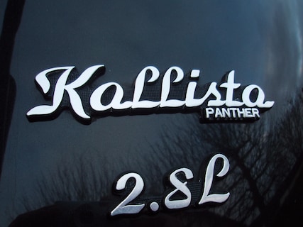 Panther-Kallista