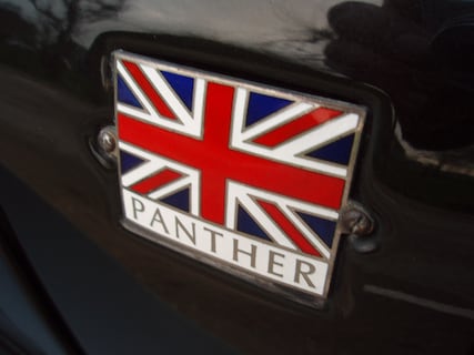 Panther-Kallista
