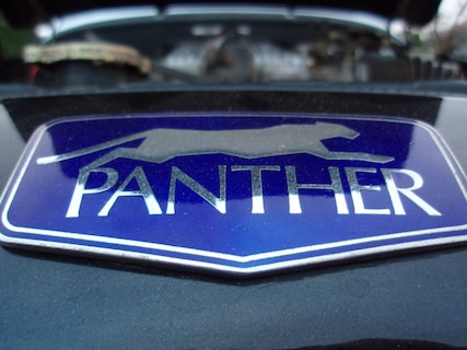 Panther-Kallista