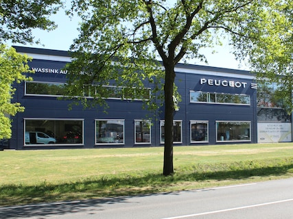 Peugeot-Expert