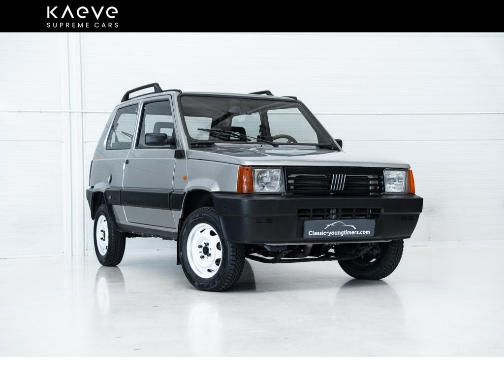 Fiat Panda 4x4 | new paint | new interior
