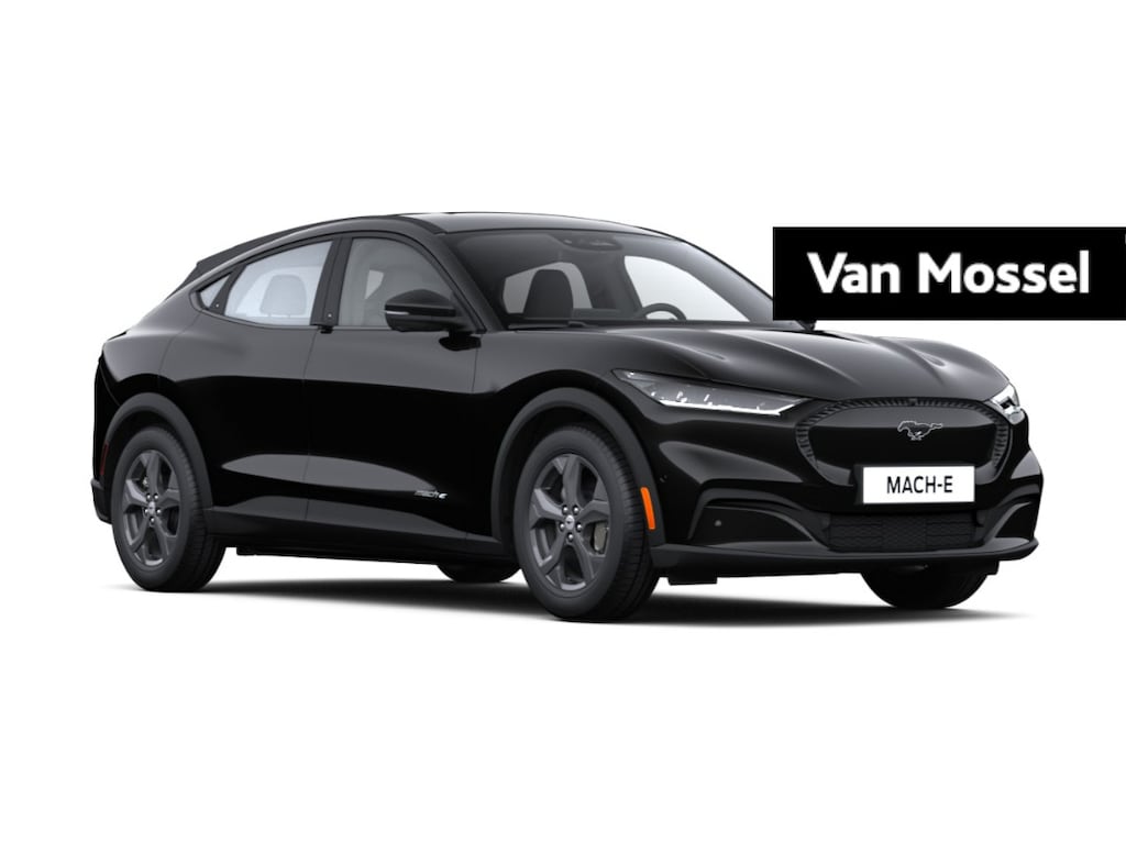 Ford Mustang Mach-E RWD 75 kWh | Te bestellen |