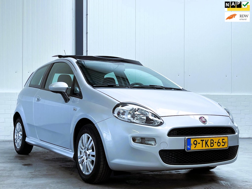 Fiat Punto Evo 0.9 TwinAir Street Org NL|Panorama dak