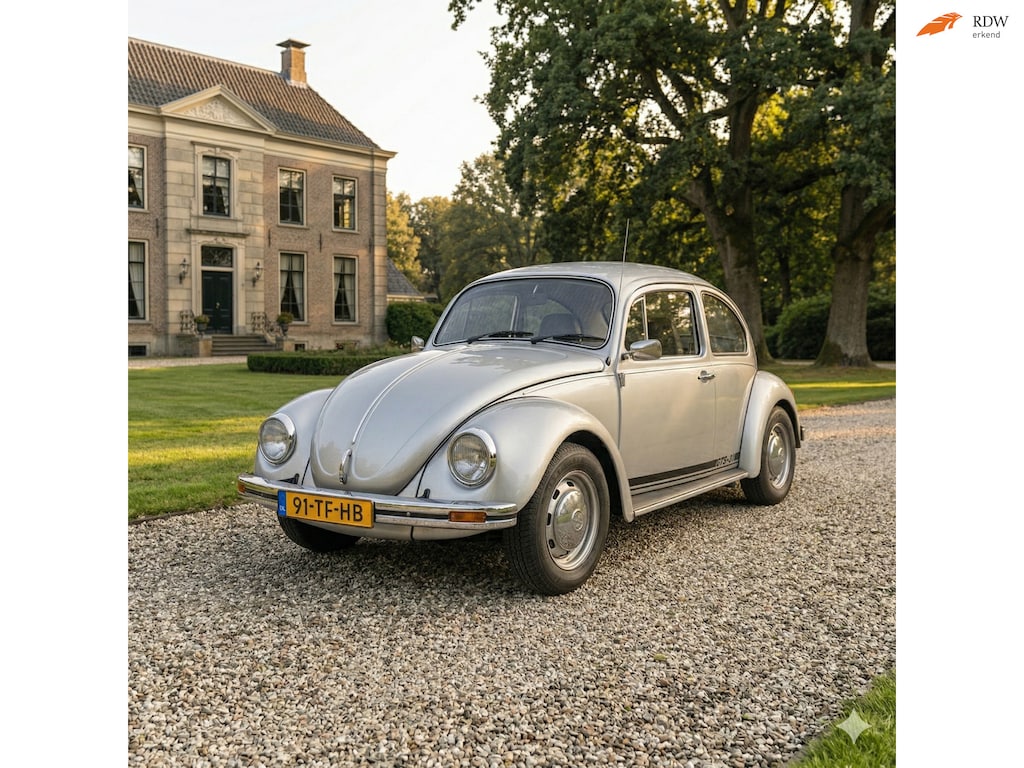 Volkswagen Kever 113141 Silverbug Uniek!
