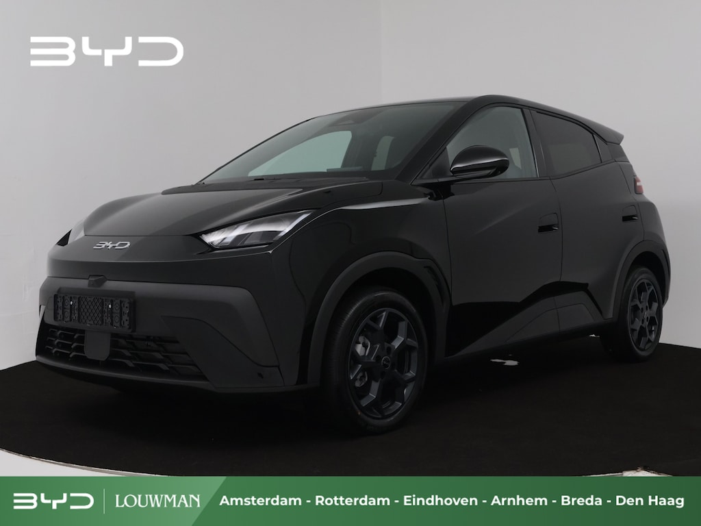 BYD Dolphin Surf Comfort 43 kWh | Inclusief € 2000,- ACTIE  | Nieuw |