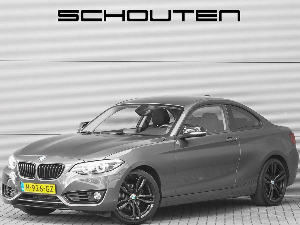 BMW 2-Serie Coupé 218i Executive Edition Camera Parkeerhulp 18"
