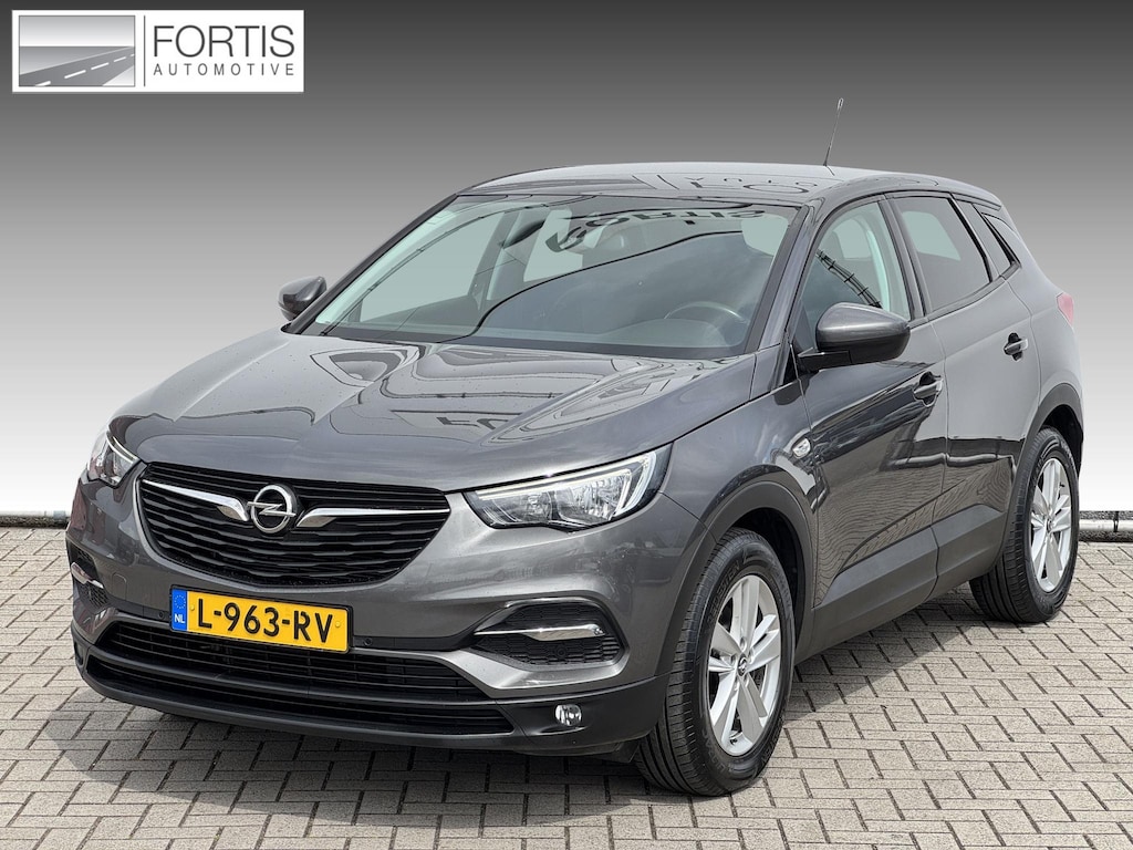 Opel Grandland X 1.2 Turbo Business Edition TREKHAAK | WINTER PACK| CARPLAY NAVI