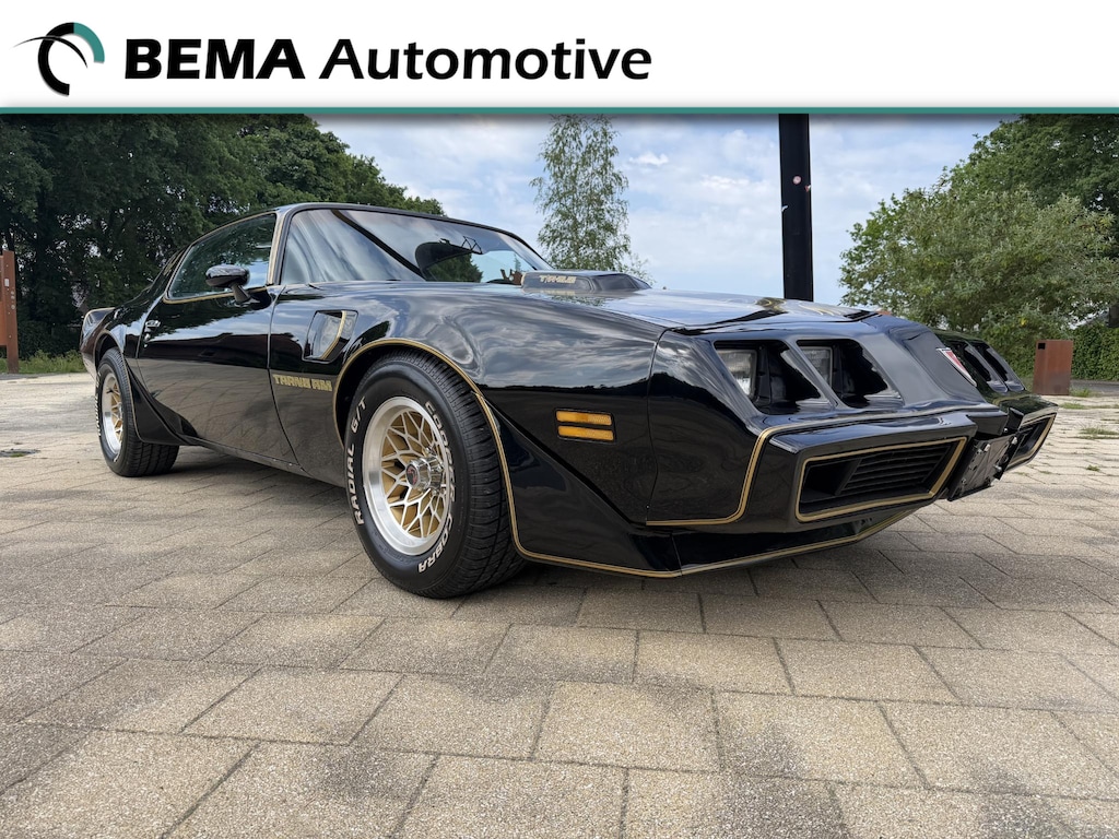 Pontiac Firebird 6.6 FW 87 Trans Am