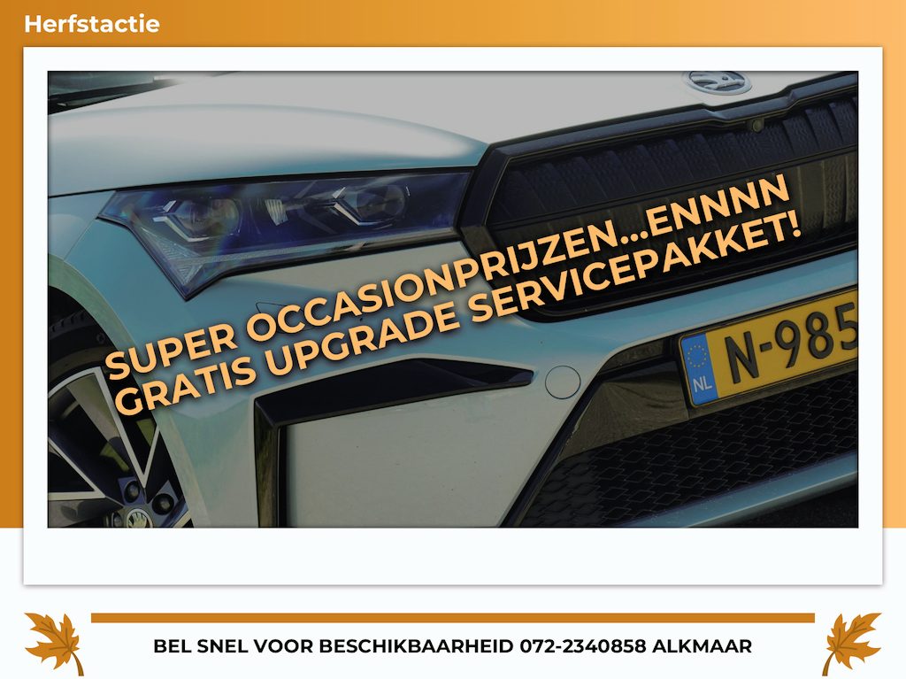 Skoda Enyaq iV 60 Sportline - Arctic Silver - Sport Plus - SmartLink - Topstaat