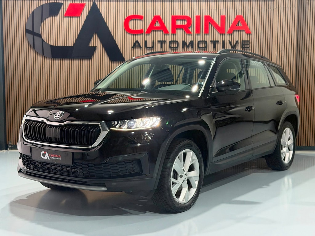 Skoda Kodiaq 1.5 TSI Business Edition / Cruise control / Carplay / Winter Pakket / ect... /