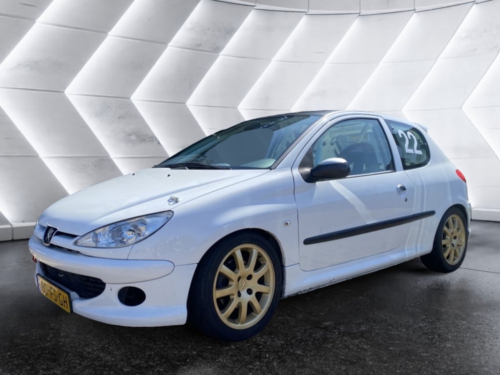 Peugeot 206 TRACKDAY 206 GTI CUP 2.0-16V GTI