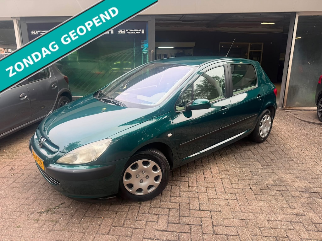 Peugeot 307 1.6-16V XT | 1E EIGENAAR |3/6 OF 12MND GARANTIE | LAGE KM | AIRCO | ELEC RAMEN |