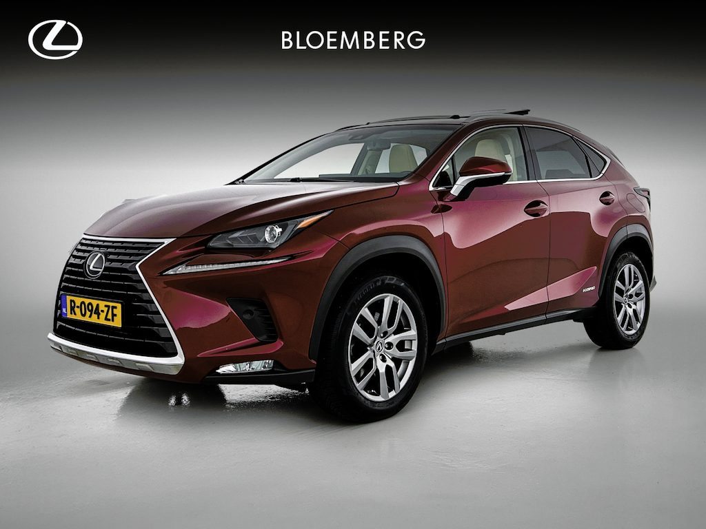 Lexus NX 300h AWD Luxury Line Limited | Schuif - / kanteldak | Fietsendragerbeugel |