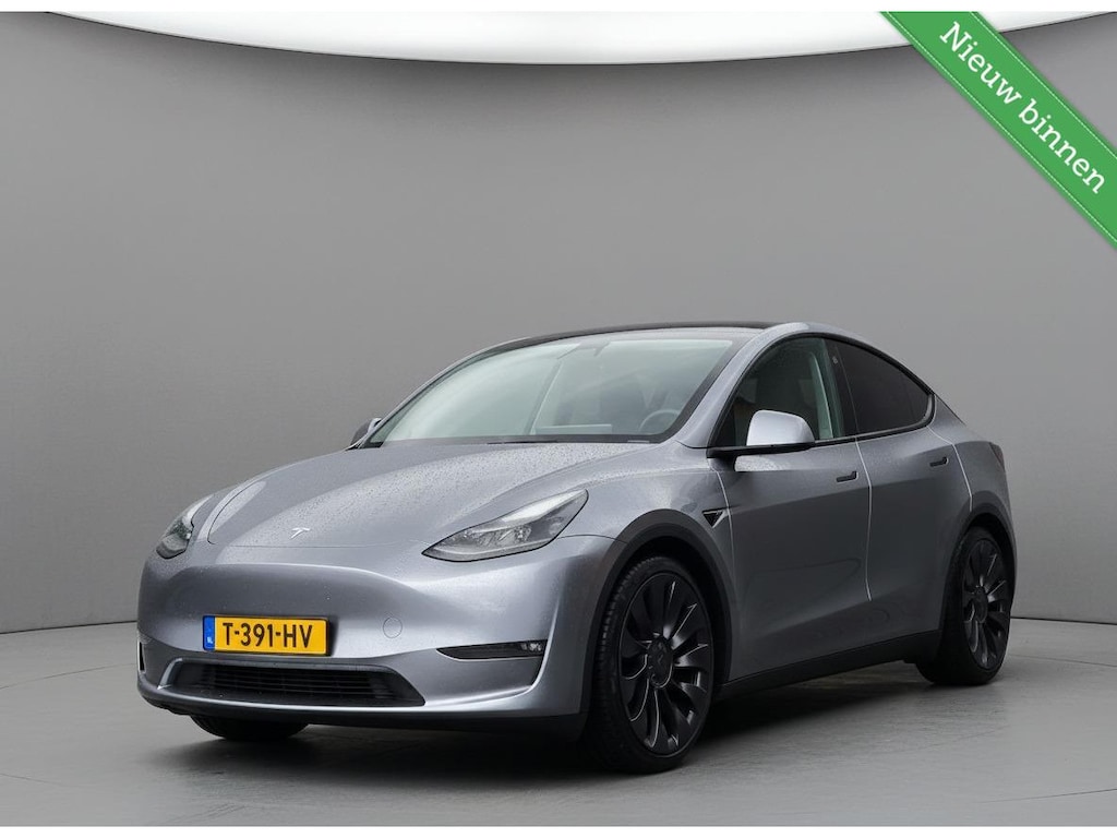 Tesla Model Y Performance | SOH 93,6%