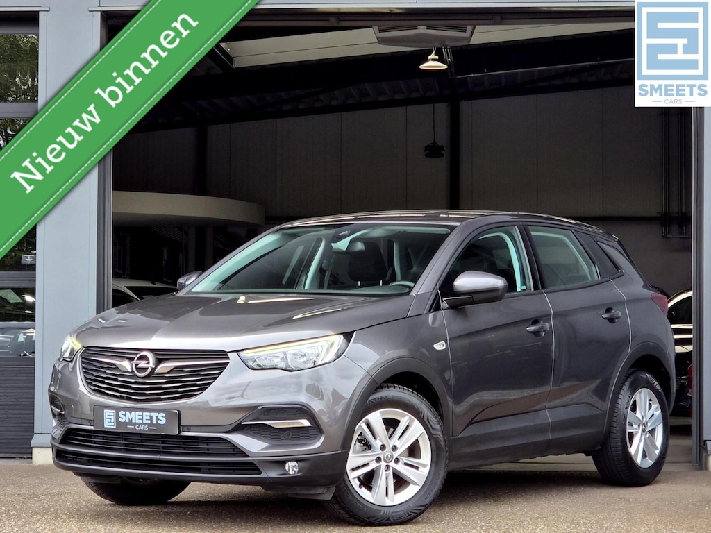 Opel Grandland X 1.2T Online Ed. 1e Eig! |Navi|Carplay|Cruise