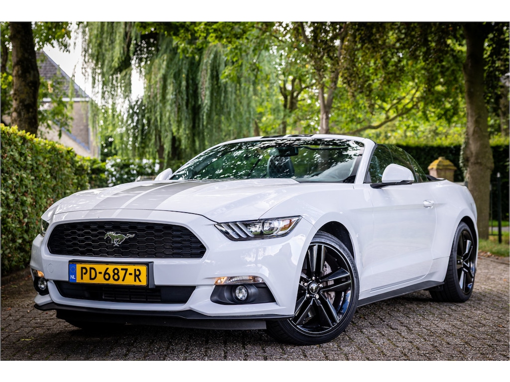 Ford Mustang Convertible 2.3 EcoBoost Stoelventilatie Shaker Audio NL Auto