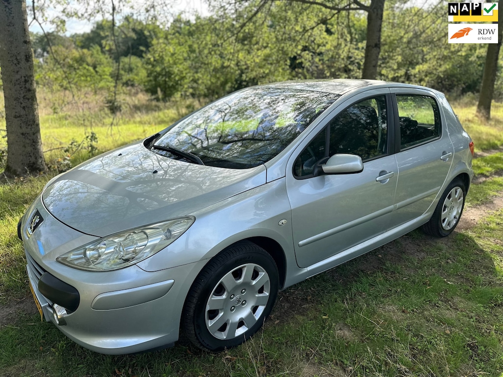 Peugeot 307 APK 18-06-2027