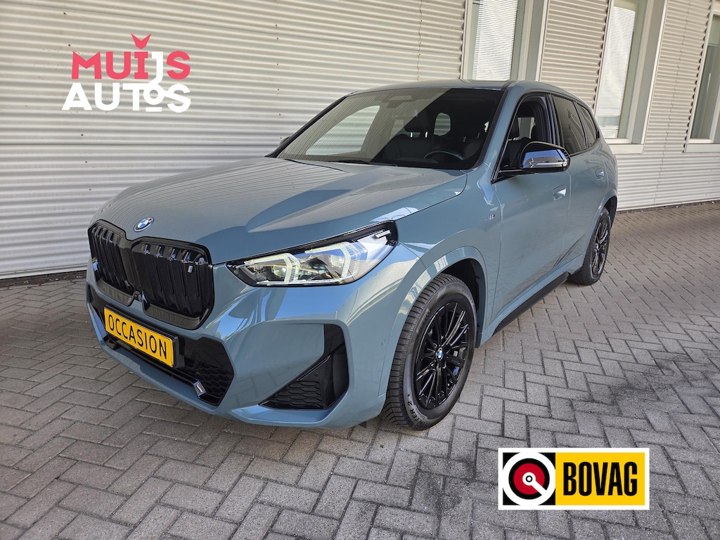 BMW iX1 xDrive30 Launch Edition 67 kWh