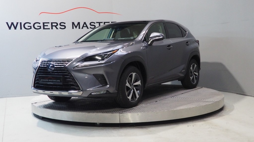Lexus NX President 197 PK, Mark Levinson, Glazen dak, 360 Camera, Leder, vol!