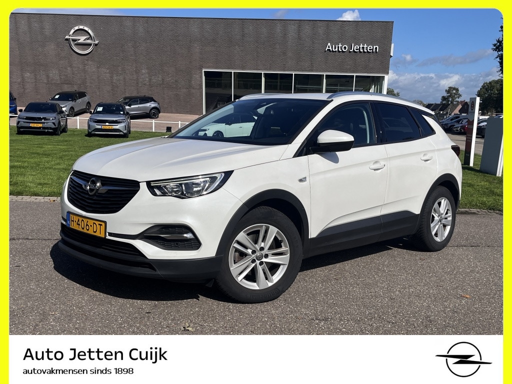 Opel Grandland X 1.2 Turbo Business + #RIJKLAAR# | Trekhaak | ECC