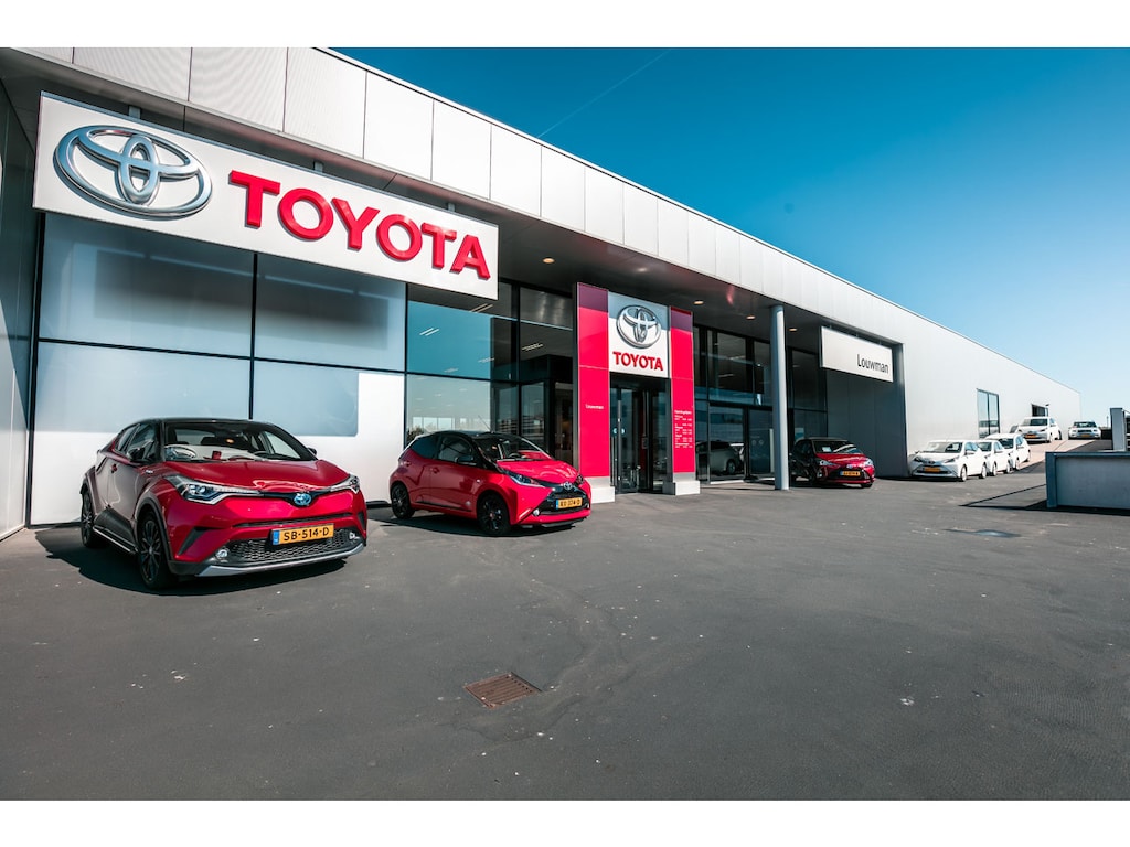 Toyota BZ4X Executive 73 kWh