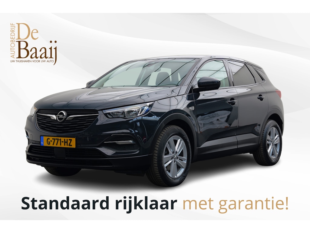Opel Grandland X 1.2 Turbo Business Edition | Winter pakket | Achteruitrijcamera | 17'' Licht metaal