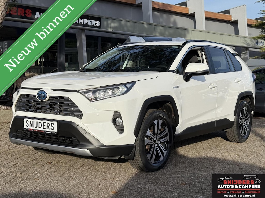 Toyota RAV4 2.5 Hybrid Business Plus keurig onderhouden