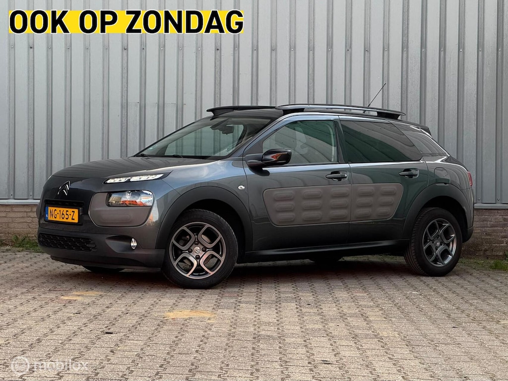 Citroën C4 Cactus 1.2 Shine AUT | Clima/Cruise | Camera