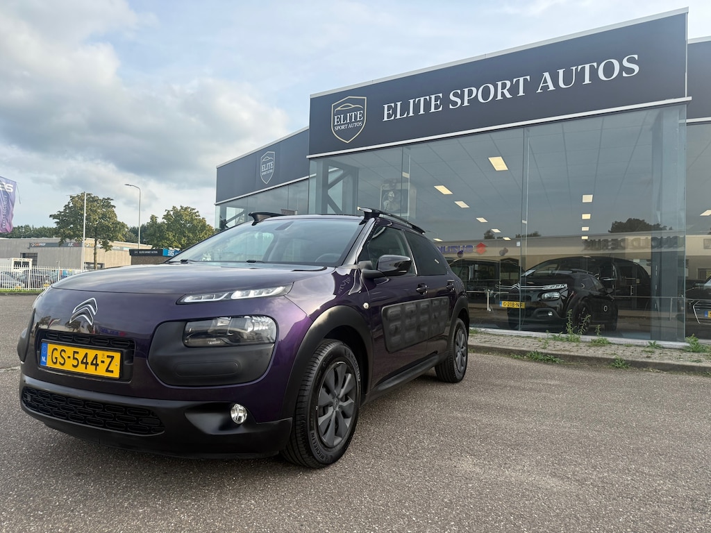 Citroën C4 Cactus 1.6 BlueHDi Shine I Distributie vervangen I Pano I Camera I