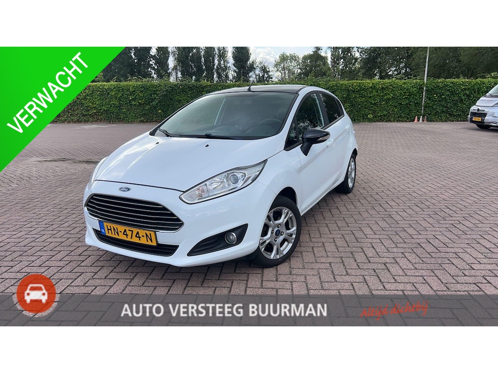 Ford Fiesta 1.0 White Edition 1e Eigenaar, Origineel Nederlands, Lichtmetalen Velgen, Airco, Radio, Elektrische Ramen Voor