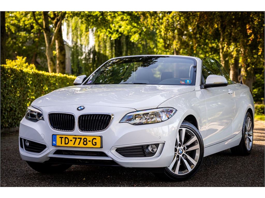 BMW 2-Serie Cabrio 228i High Executive Leder Windscherm