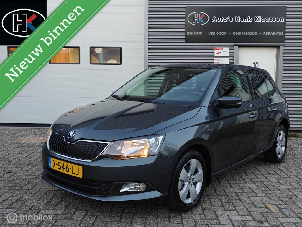 Skoda Fabia Hatchback 1.2TSi 110pk DSG-7 AUTOMAAT JOY LM PDC