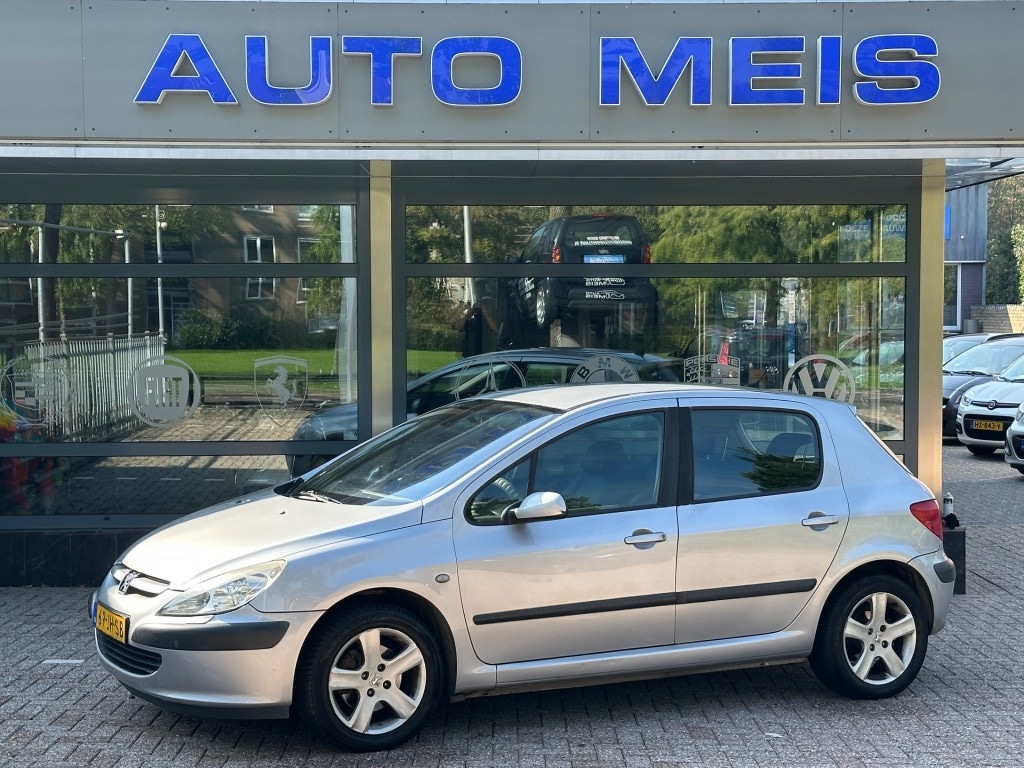 Peugeot 307 2.0-16V Gentry Airco Met APK ,ABC , Knipperlicht storing !!! Auto Zo Mee