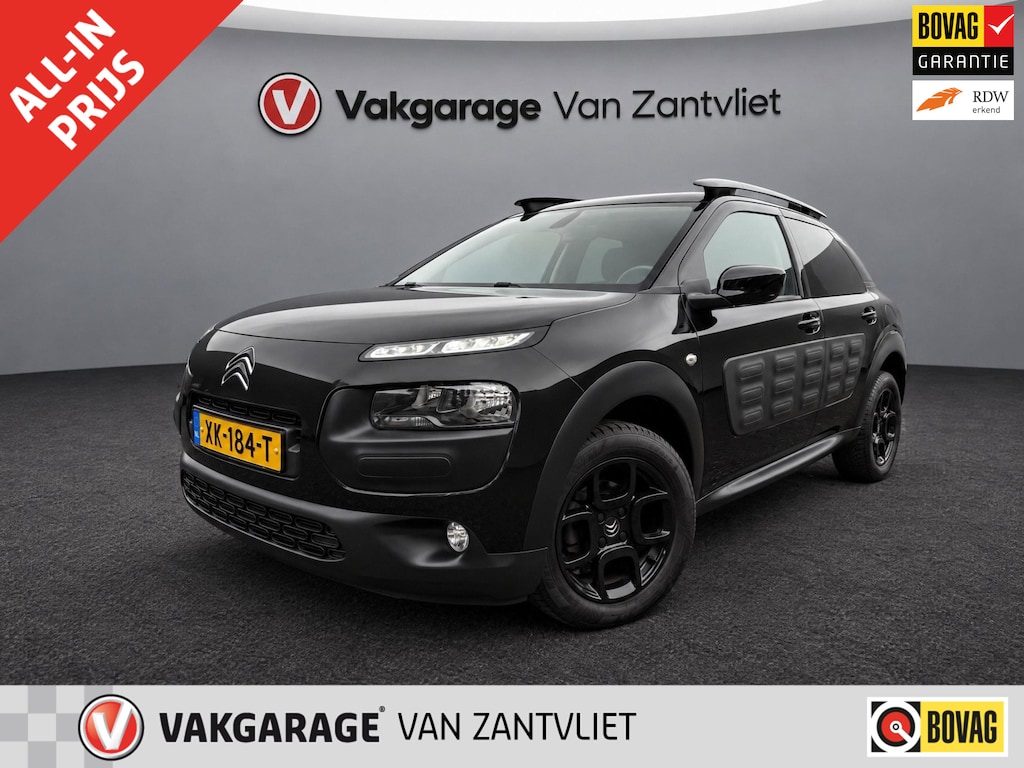 Citroën C4 Cactus 1.2 PureTech Business Plus (12 mnd BOVAG-garantie)
