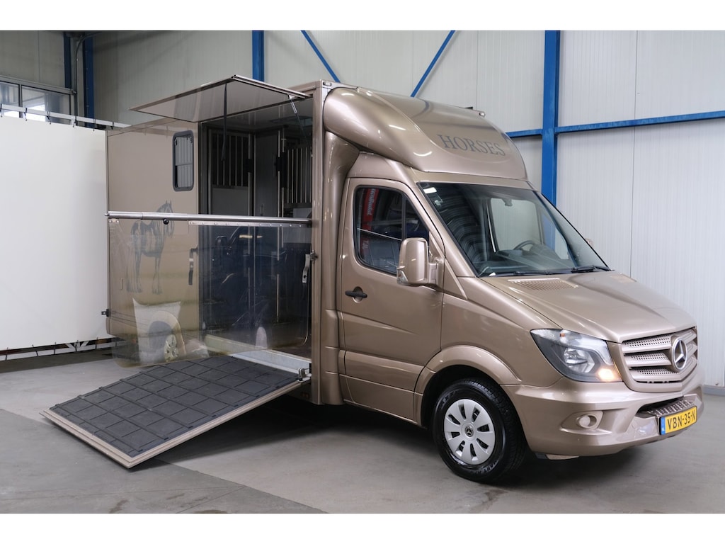 Mercedes-Benz Sprinter 313 2.2 CDI 432 - Paardenwagen, Horsetruck, Hengstenuitvoering.