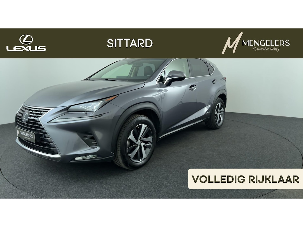 Lexus NX 300h AWD President Line Schuif kanteldak
