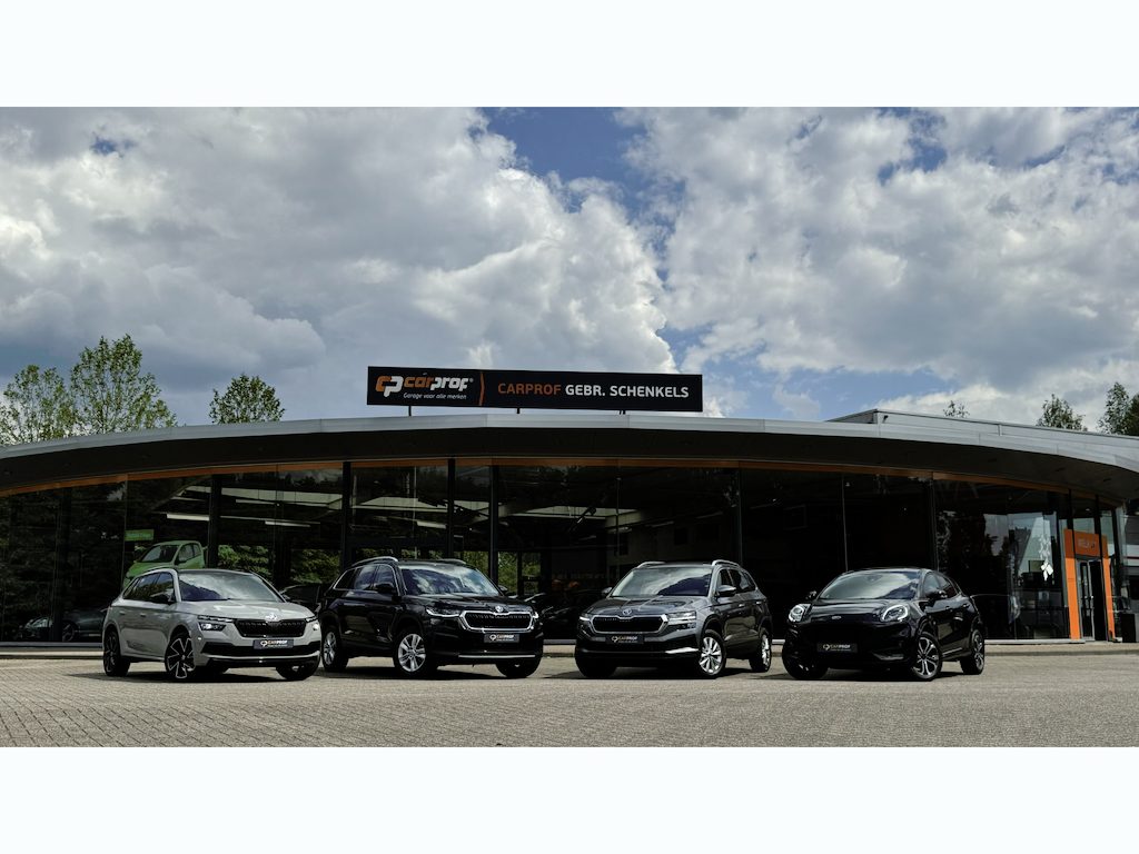 Skoda Kamiq 1.0 TSI DSG Selection RIJKLAARPRIJS Incl. afleveringsbeurt en 12 maanden BOVAG-garantie | Achteruitrijcamera | Climatronic | Apple Carplay/Android Auto | Keyless Entry |