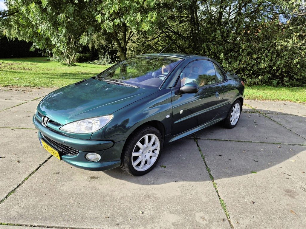 Peugeot 206 1.6-16V Roland Garros