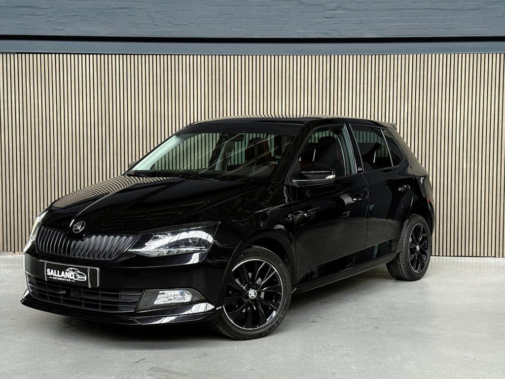 Skoda Fabia 1.0 TSI Monte Carlo |PANO|2e EIG|AIRCO|VOL ONDER
