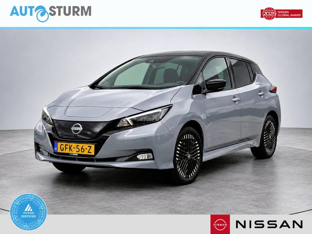 Nissan Leaf e+ Tekna 59 kWh SoH 95.4%