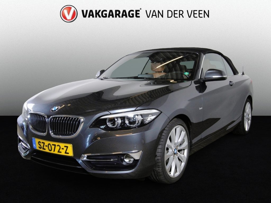 BMW 2-Serie Cabrio 220i High Executive | NL auto | Camera | Stoelverwarming |