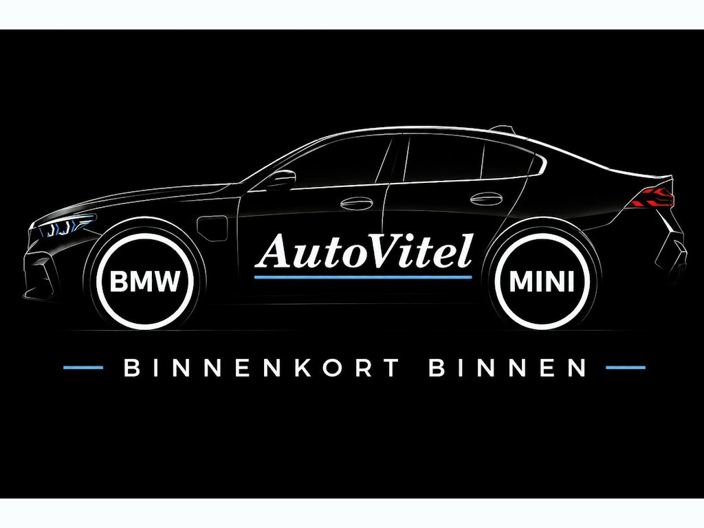 BMW X1 xDrive25e | Leder | Camera | Head-Up | PDC V & A | Elektrische Klep