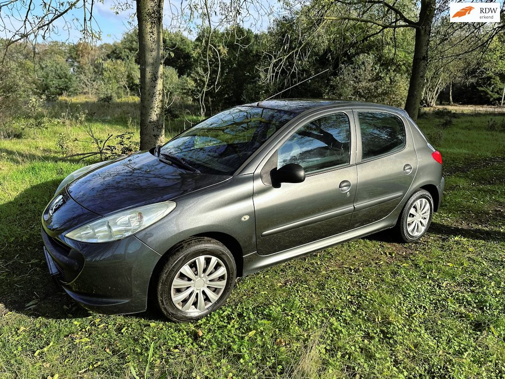 Peugeot 206+ 1.1 Accent APK 22-08-2027