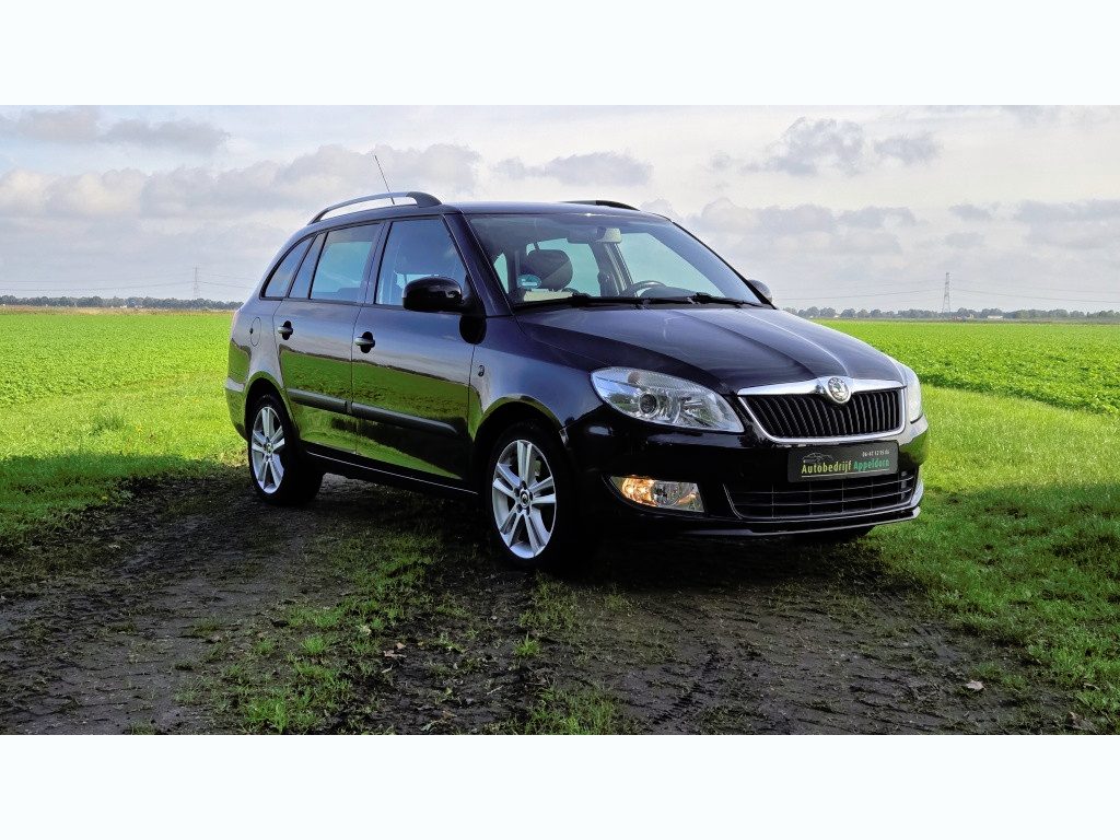 Skoda Fabia Combi 1.2 TSI Dynamic