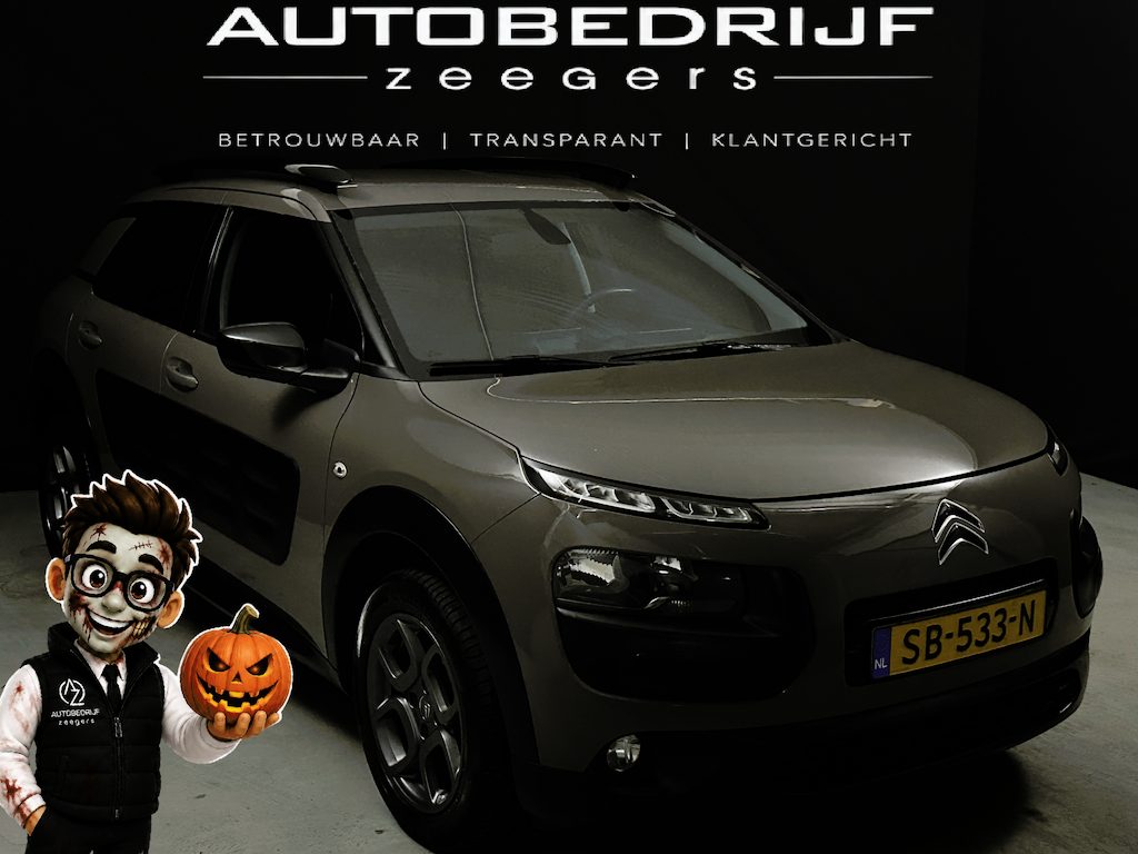 Citroën C4 Cactus 1.2 PureTech Shine *Navi*AC*Well-Kept*NAP*