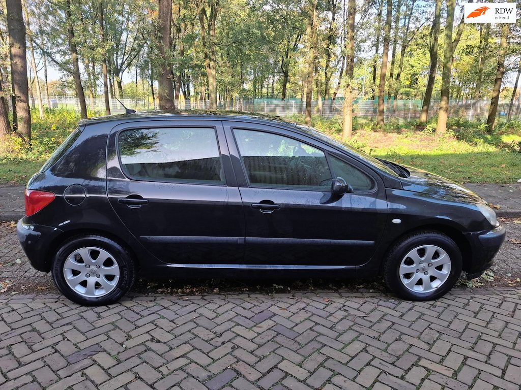 Peugeot 307 1.6-16V XT Pack