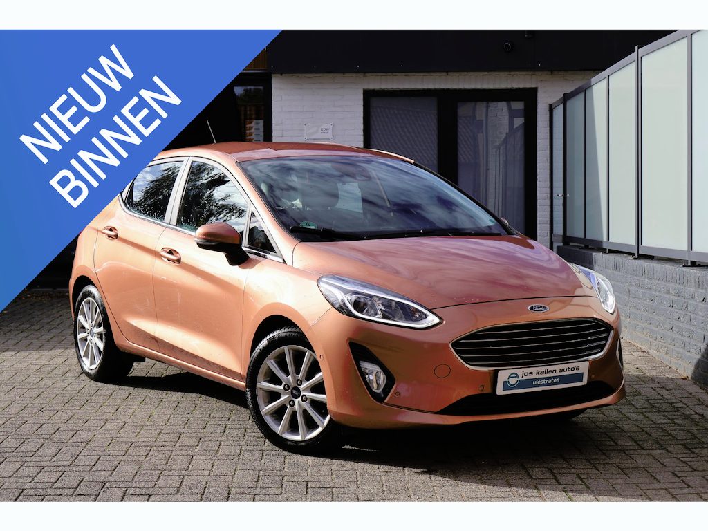 Ford Fiesta 1.0 EcoBoost Titanium Navi/Carplay, Winter Pack, PDC, Camera