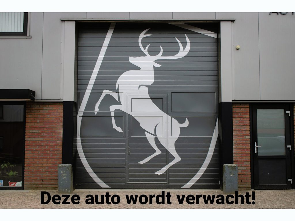 Ford Focus 2.3 RS / Recaro schaalstoelen / Bull X uitlaat / ST verlaging / Dealeronderhouden